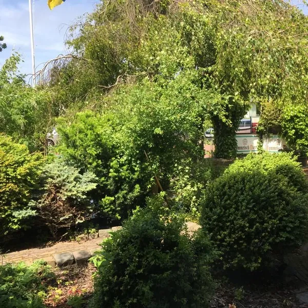 Foto 4