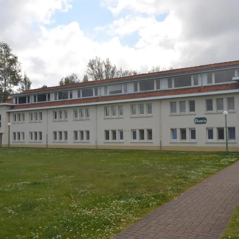 Foto 2