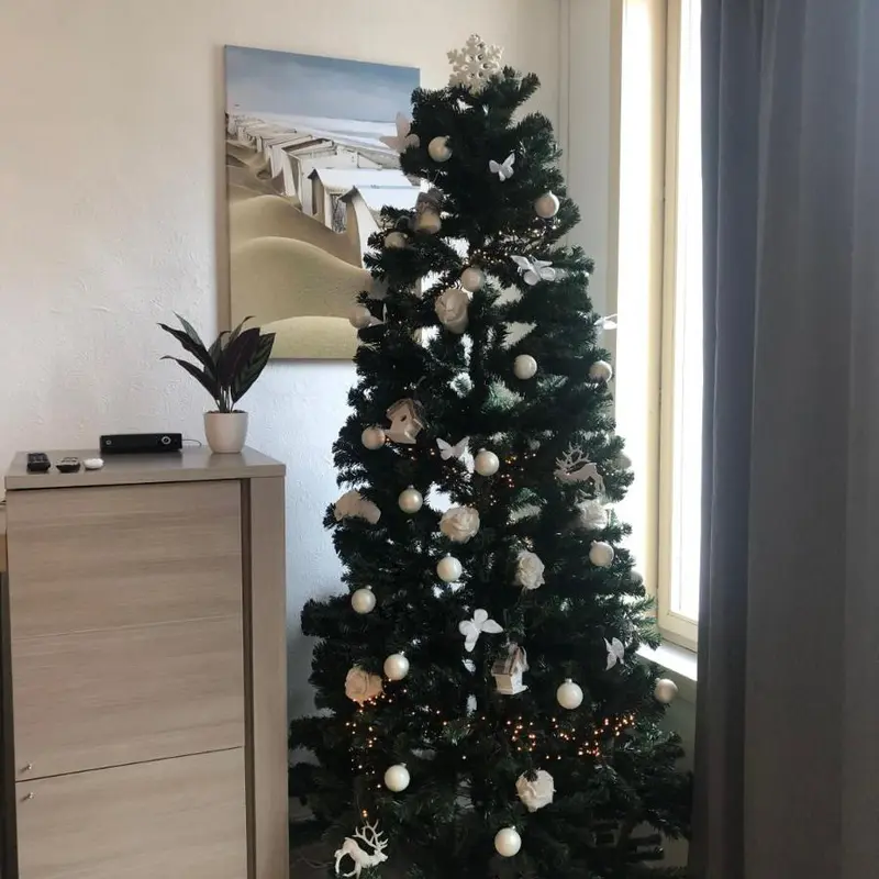 Foto 3