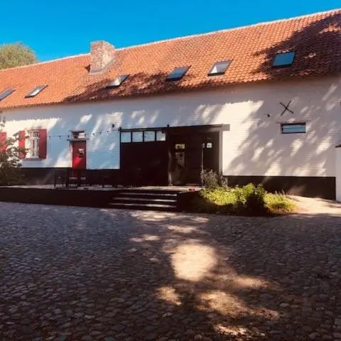 Foto 5