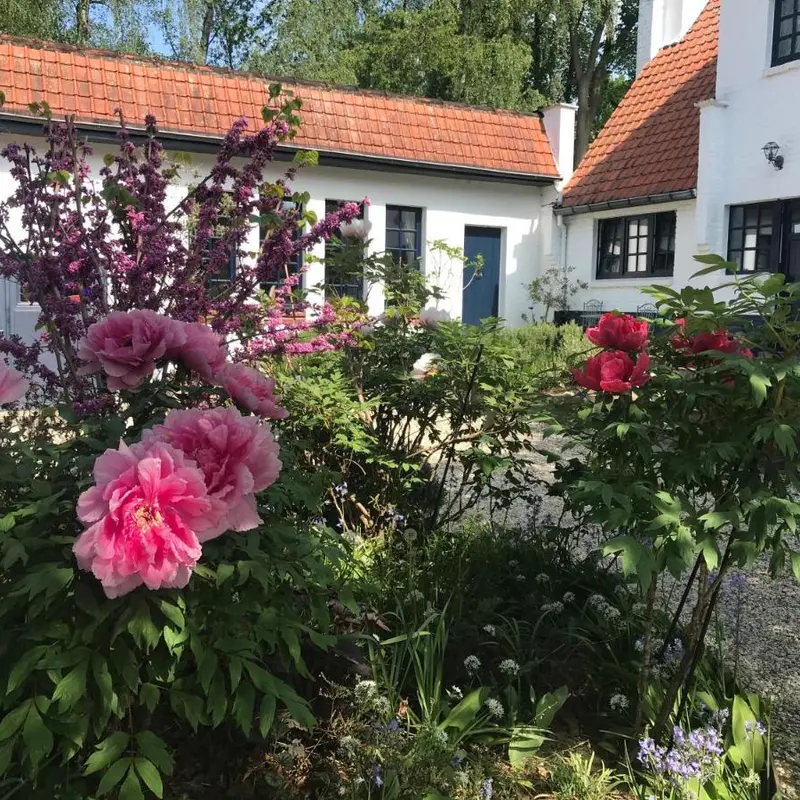 Foto 4