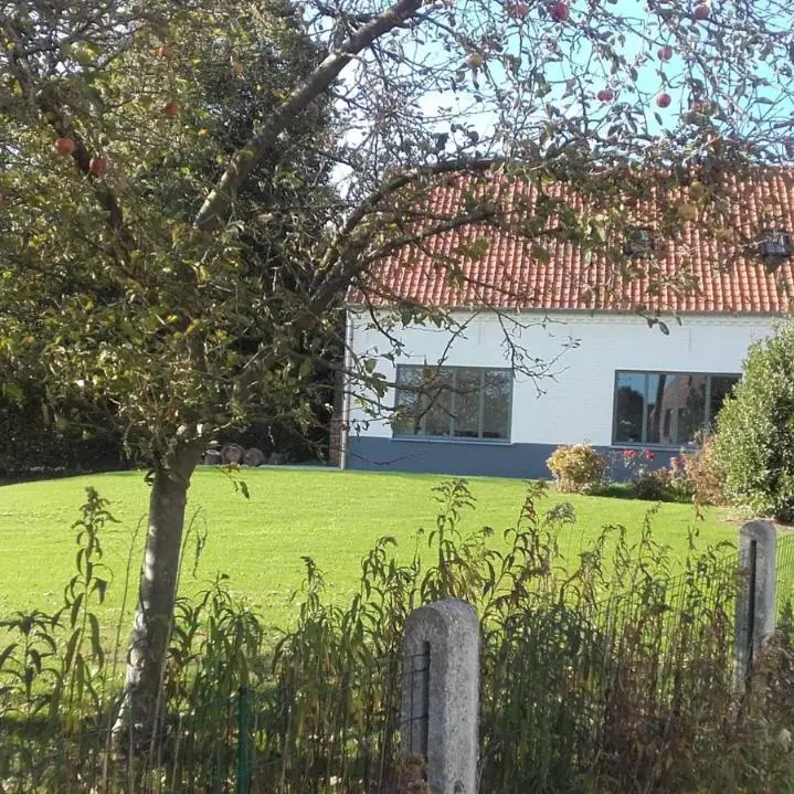 Foto 1