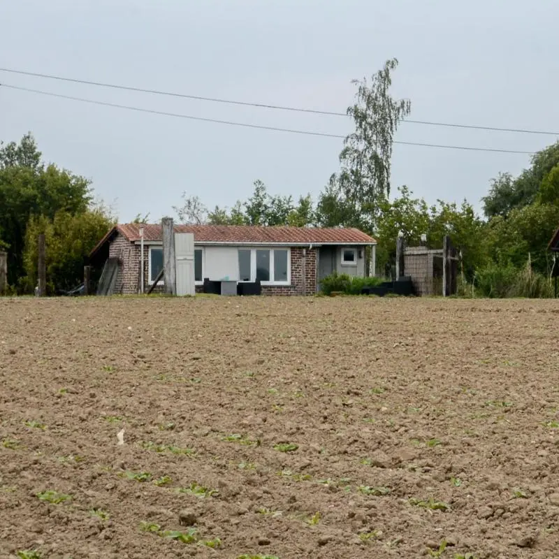 Foto 2
