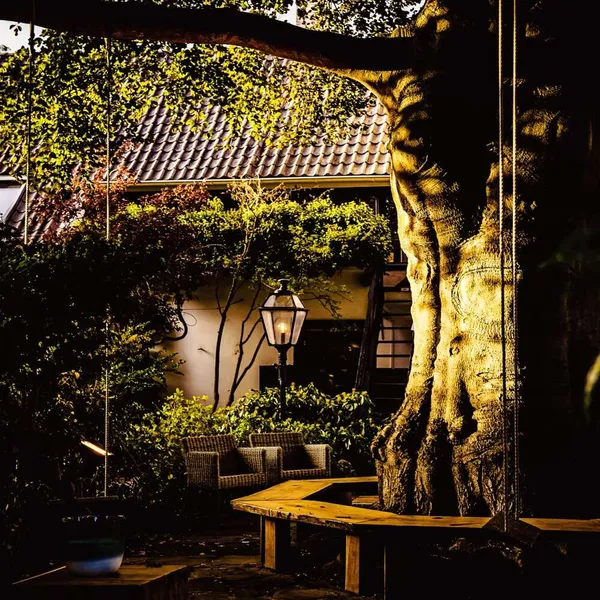 Image 10