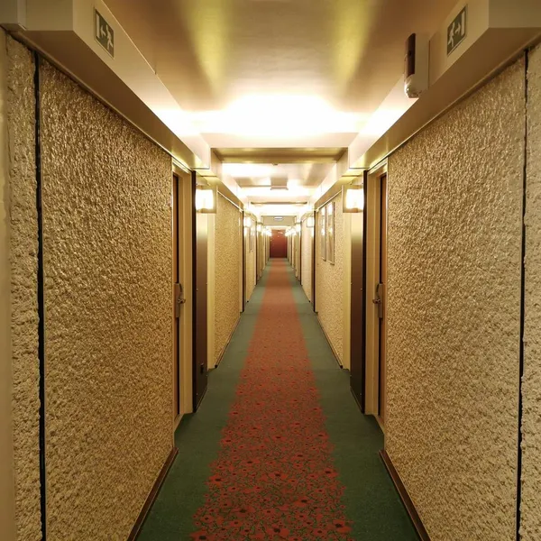 Image 9