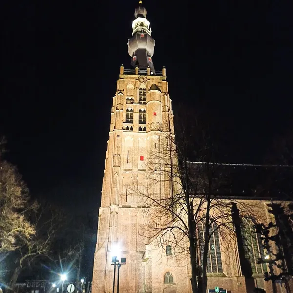 Image 7