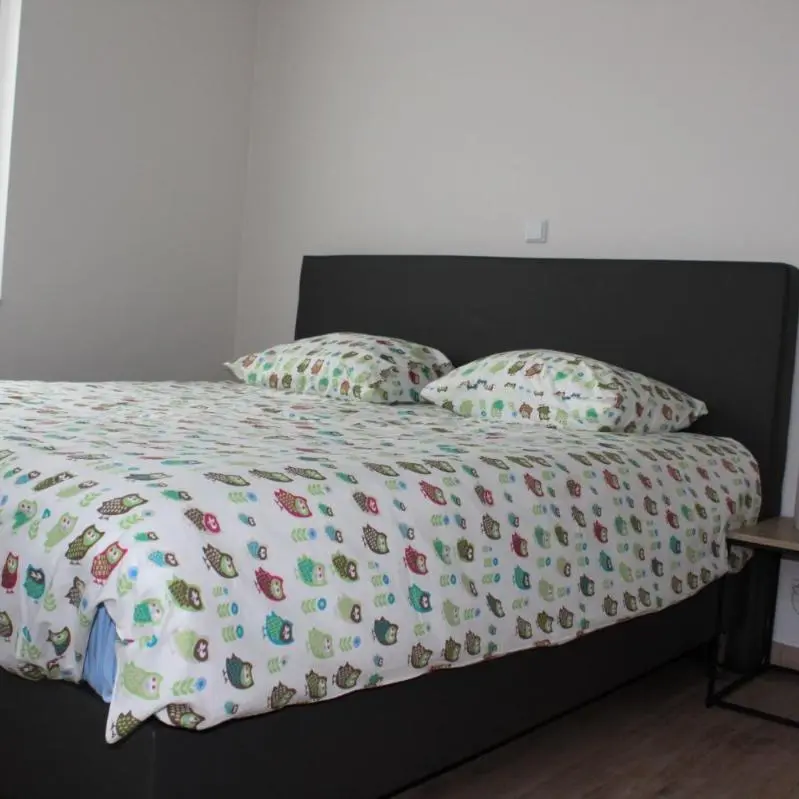 Foto 5
