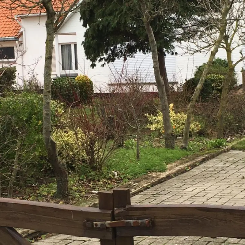 Foto 2