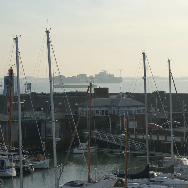 Image 14