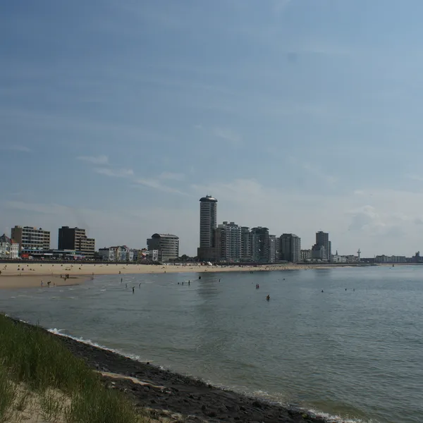 Image 9
