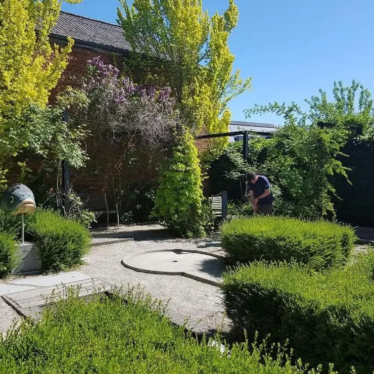 Foto 5