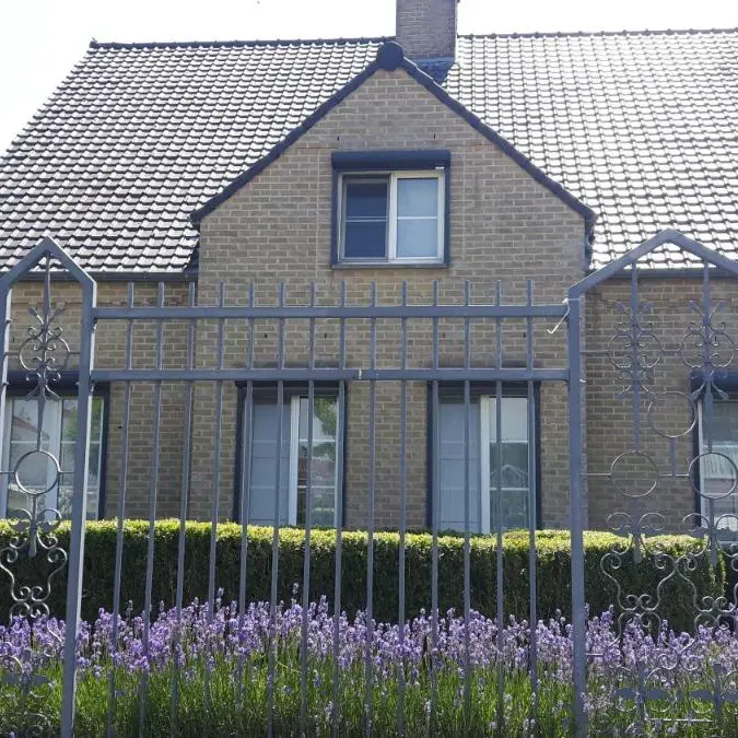 Foto 1