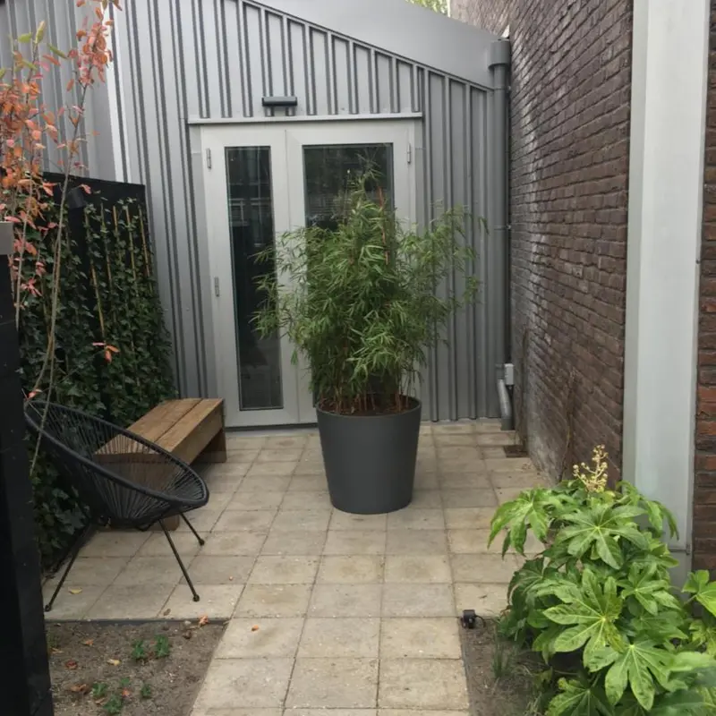 Foto 1