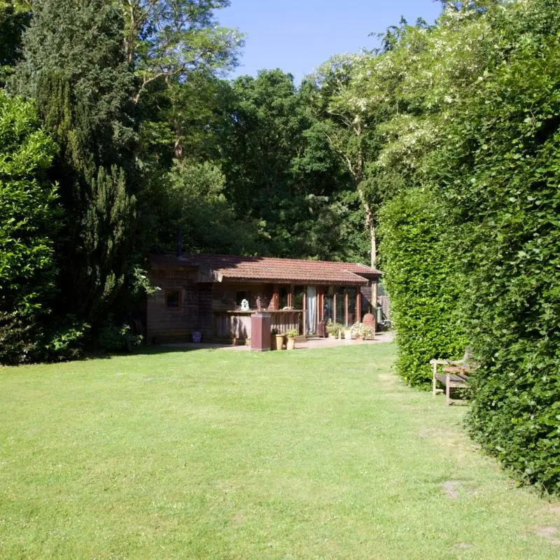 Foto 2