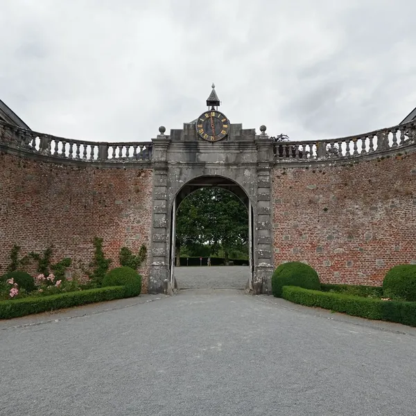 Image 7