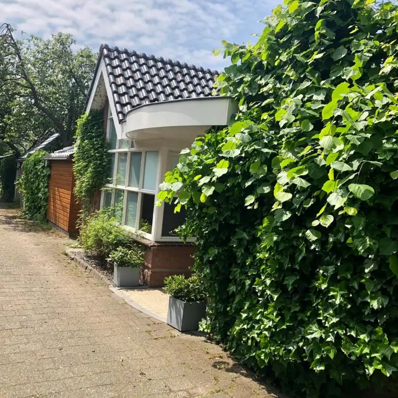 Foto 1