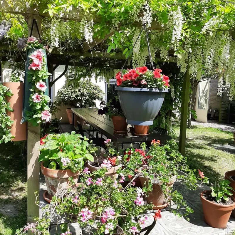 Foto 2
