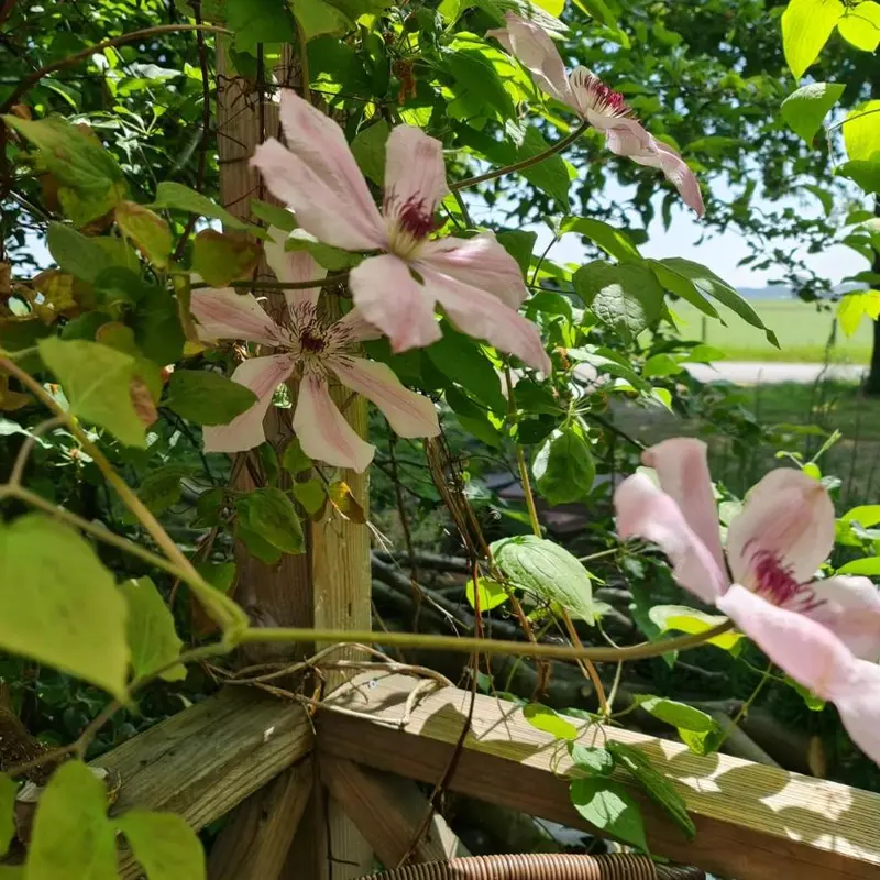 Foto 5