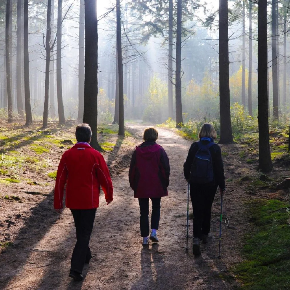 Boshotel Overberg in Overberg