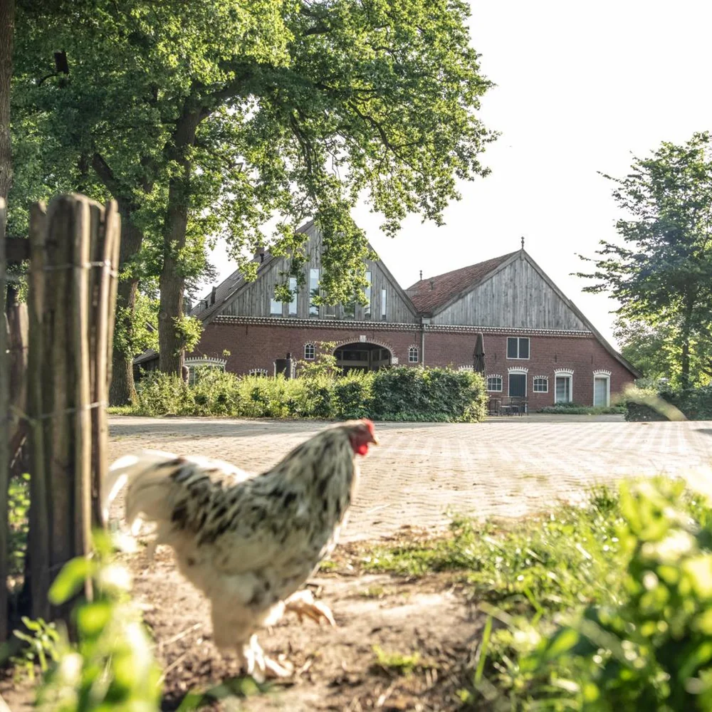 Erfgoed Bossem in Lattrop