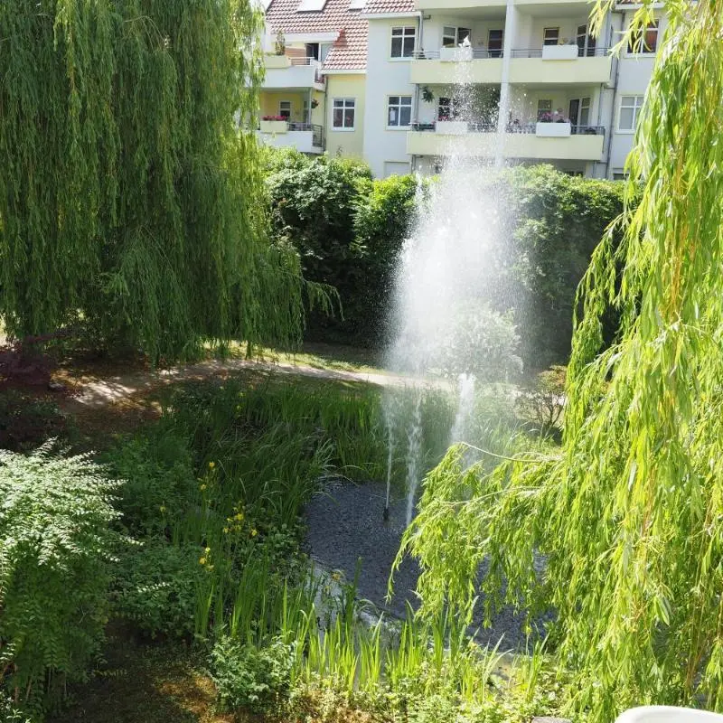 Image 9