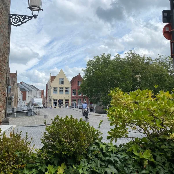 Image 6