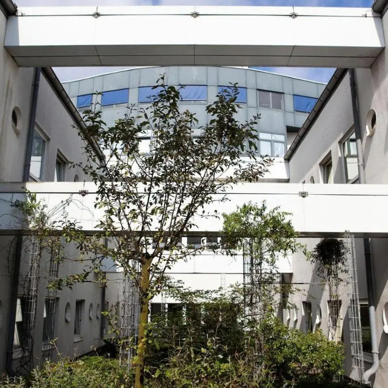Image 2