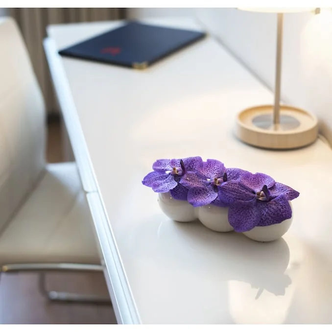 Hotel Ter Streep Oostende