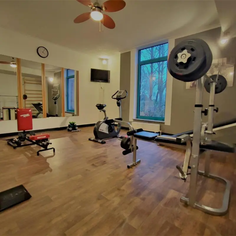 Image 7