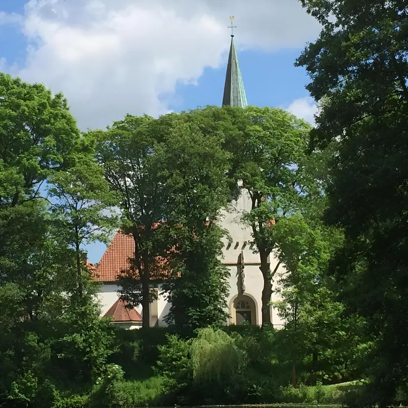 Image 10