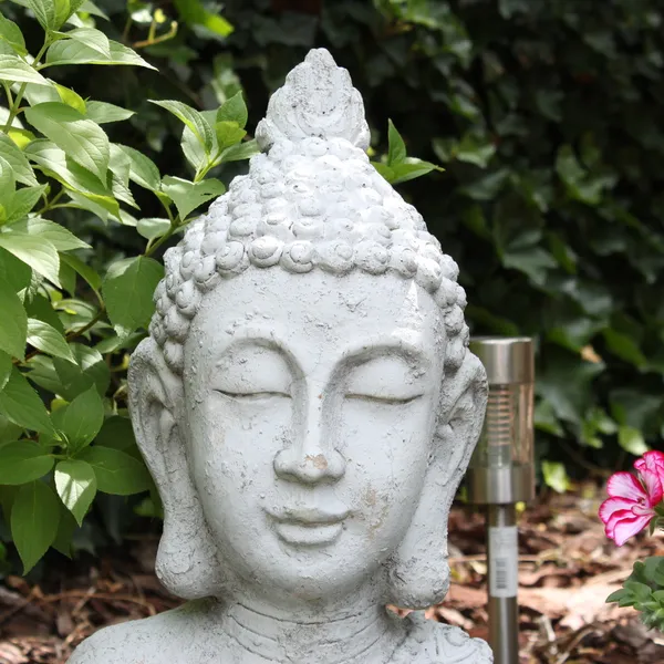 Image 26