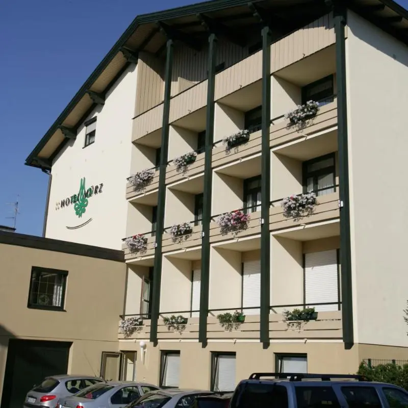 Image 5