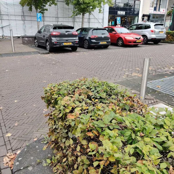 Image 8