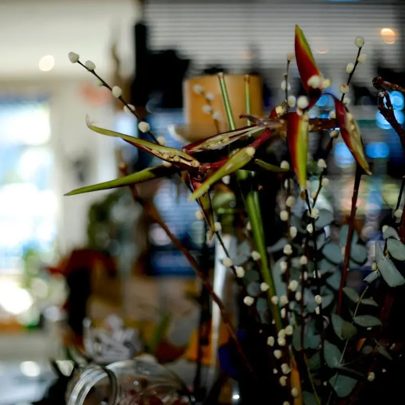 Image 6