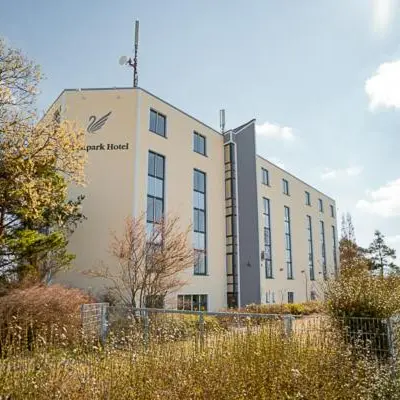 Image 6