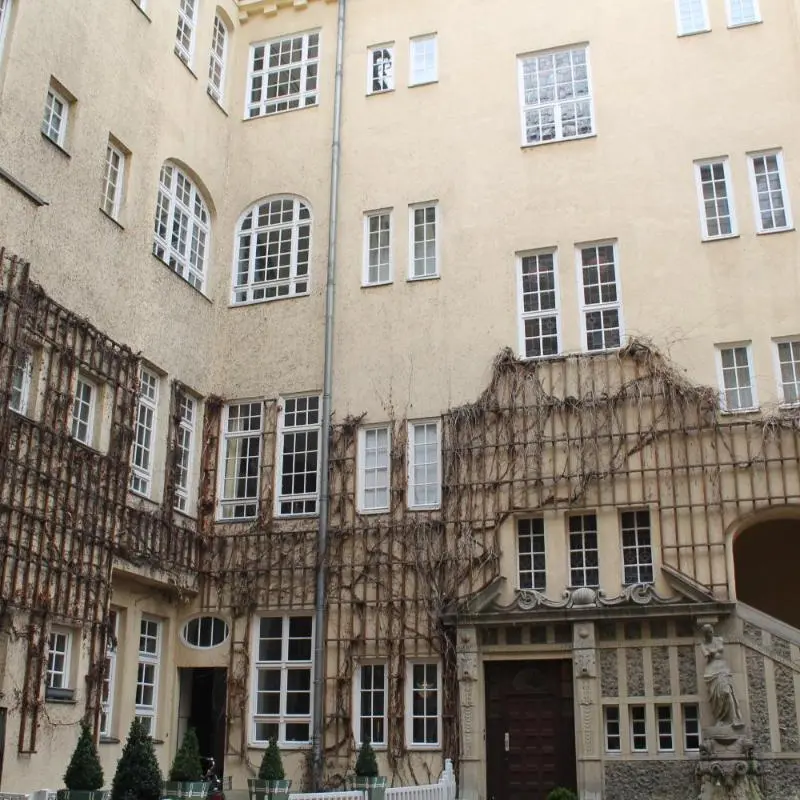 Image 7