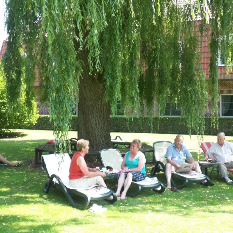 Image 7