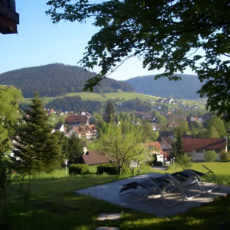 Image 9