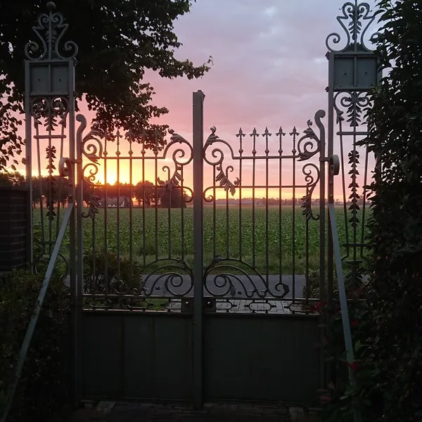 Image 7