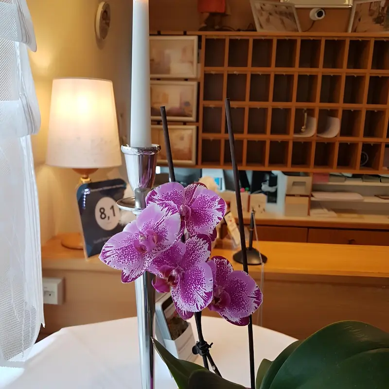 Foto 5