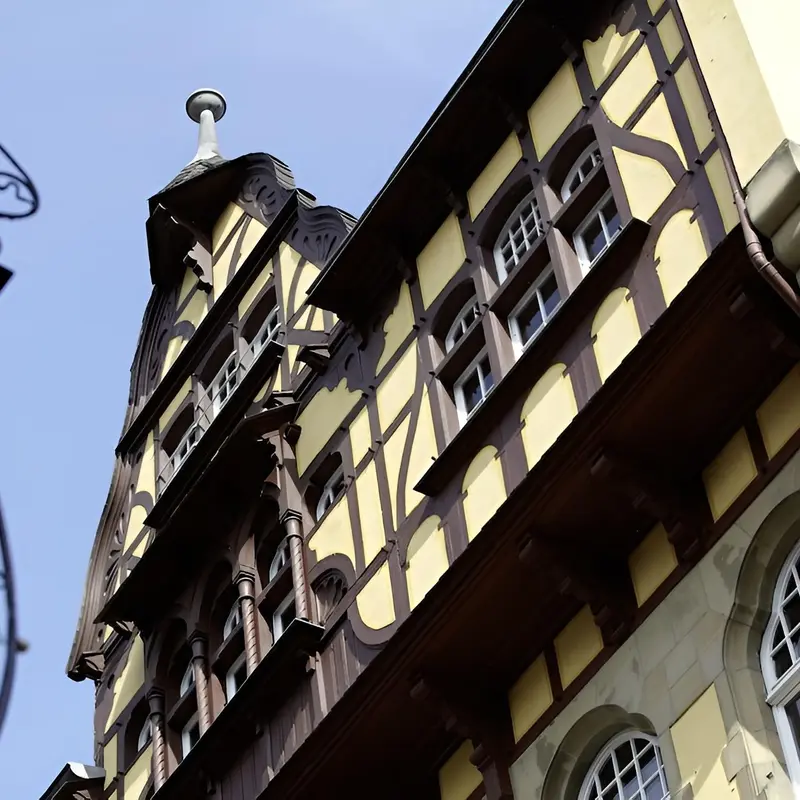 Image 10