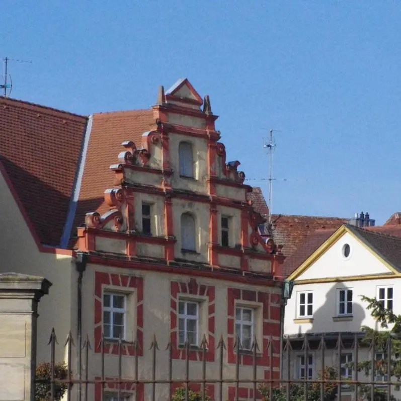 Image 8