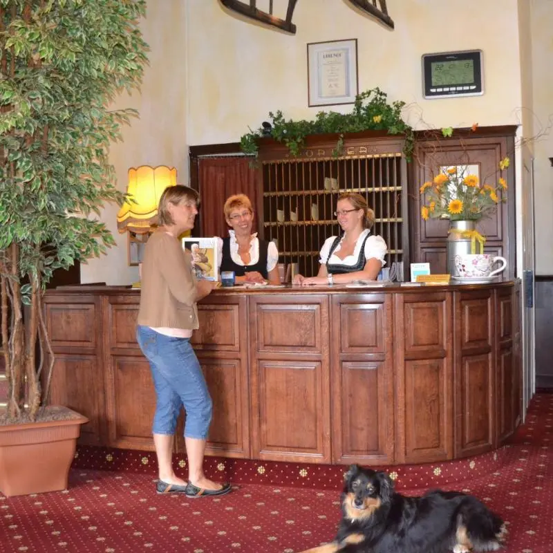 Image 9