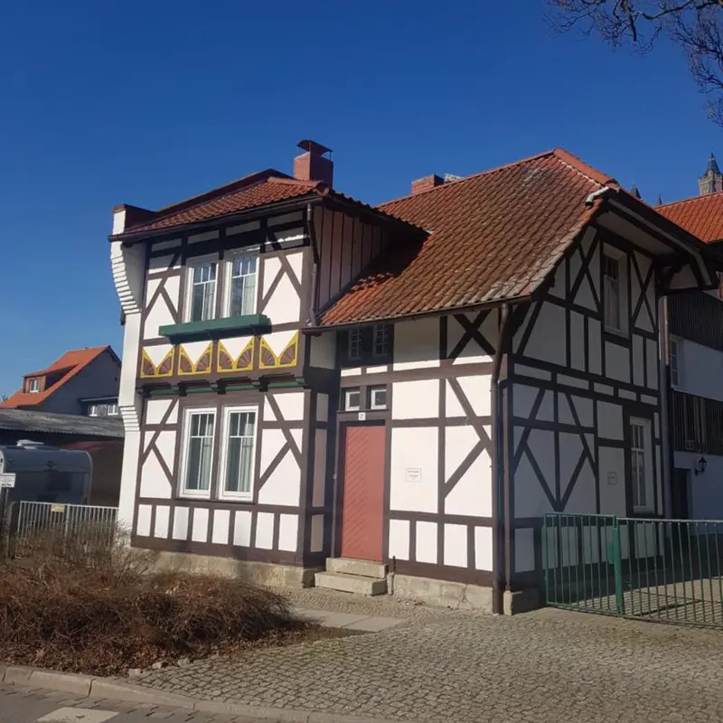 Image 6