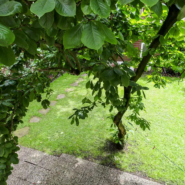 Image 22