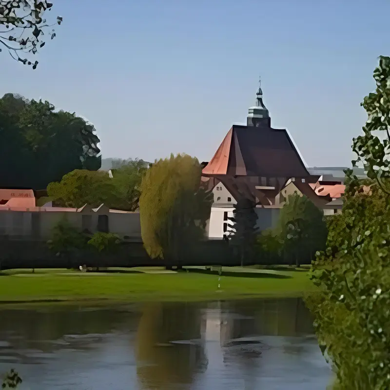 Image 8
