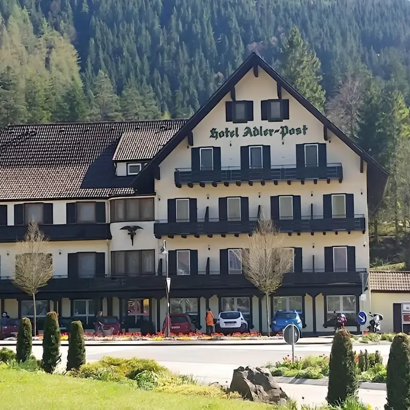 Image 9