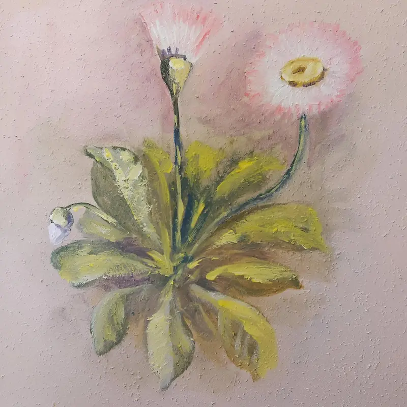 Image 9