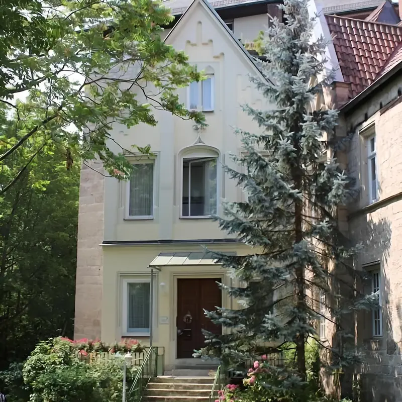 Image 8