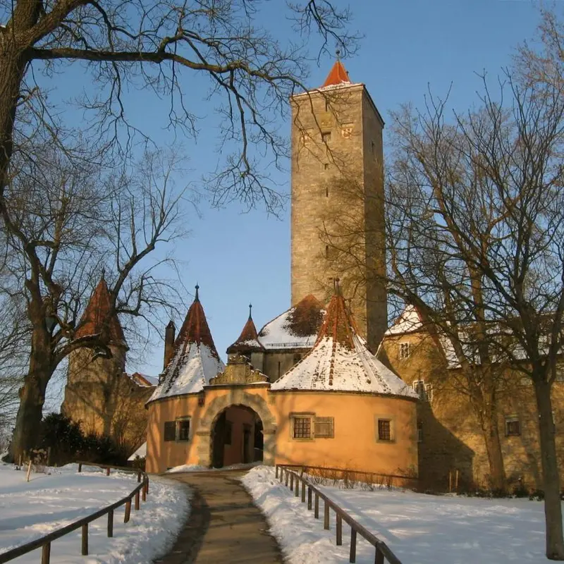 Image 7